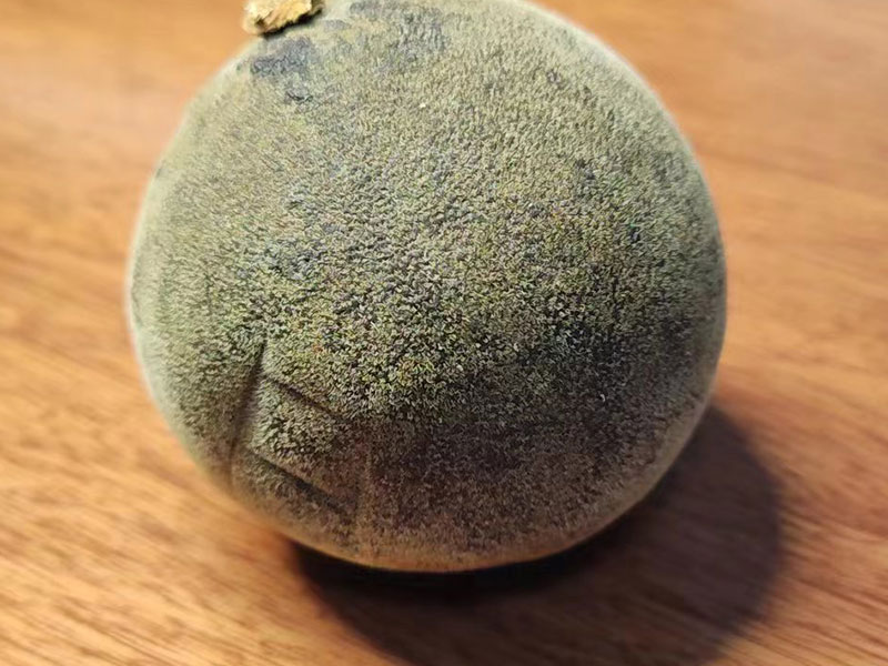 真正的化州橘红 真正的化州橘红