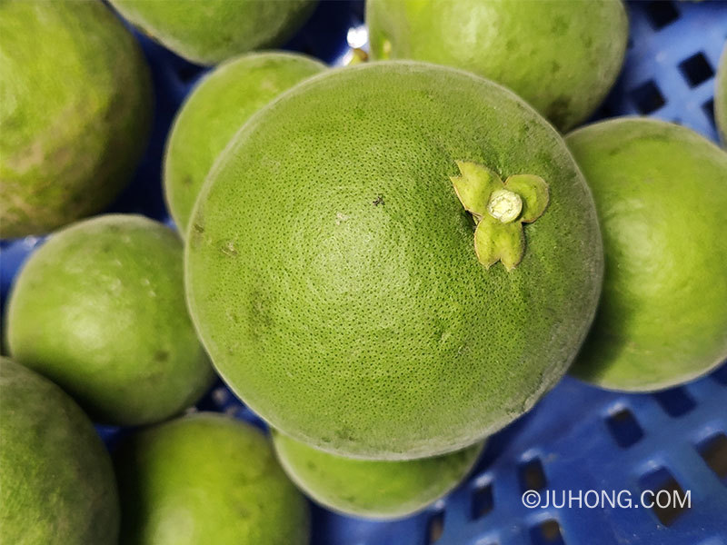 2022年化橘红鲜果价格 橘红鲜果多少钱一斤