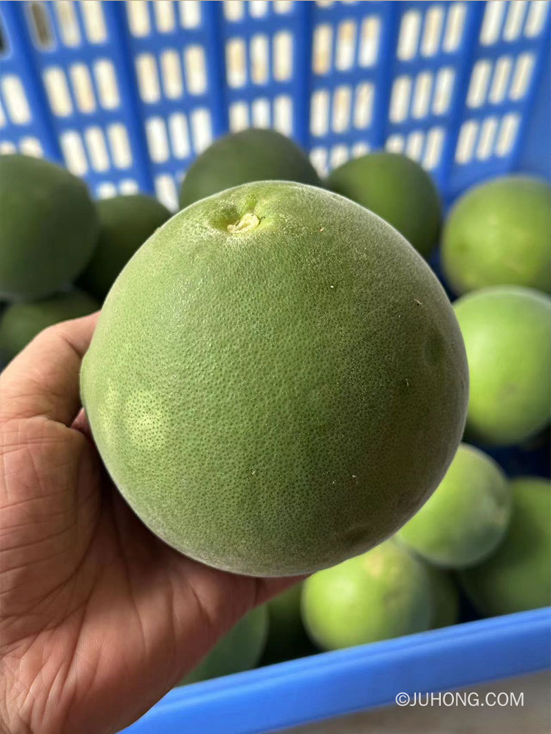 生橘红怎么晒干 新鲜橘红果怎么处理