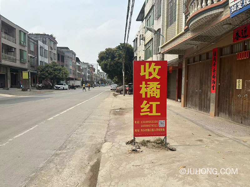 化州哪里收购鲜橘红？化州橘红收购商家