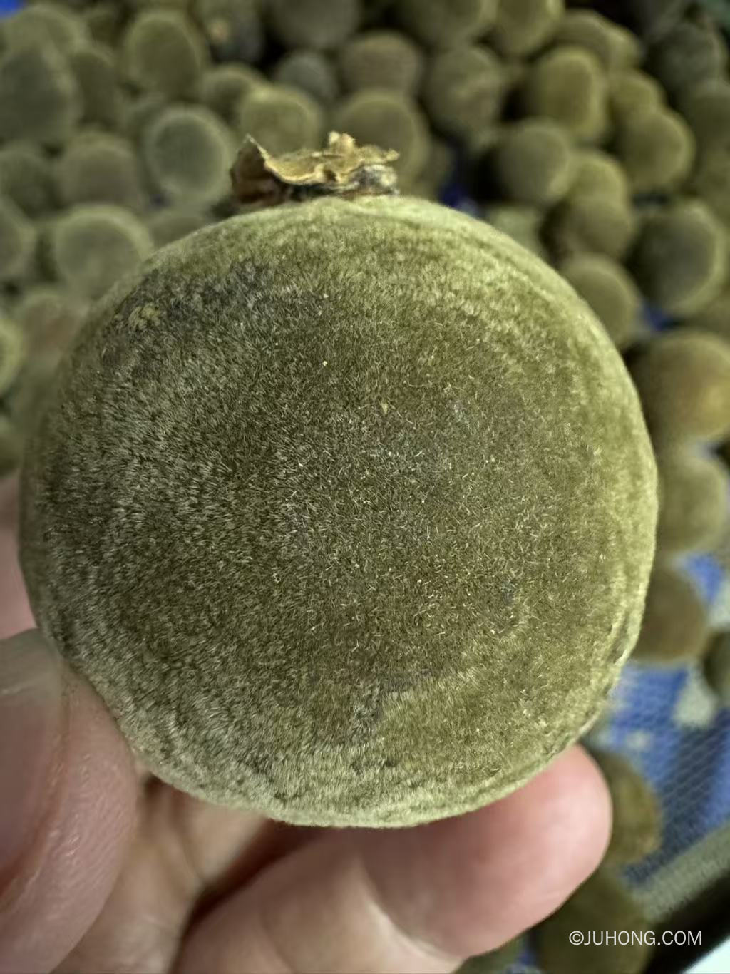 橘红果有什么<strong><mark>功效</mark></strong>与作用 橘红果的作用和禁忌