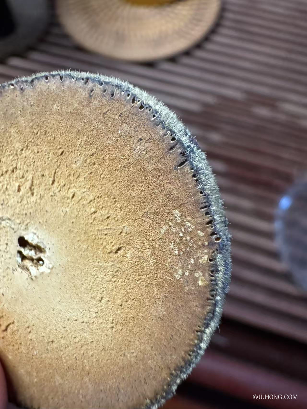 橘红片哪个品牌好？