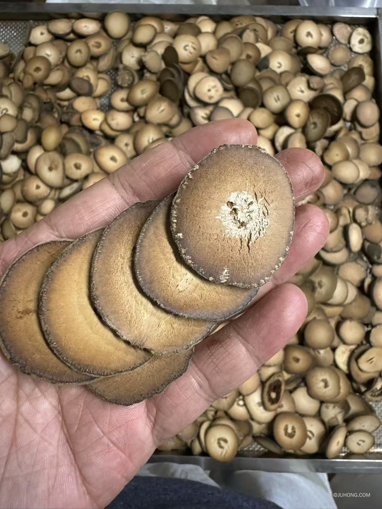 橘红片适合什么咳嗽？有什么功效与作用