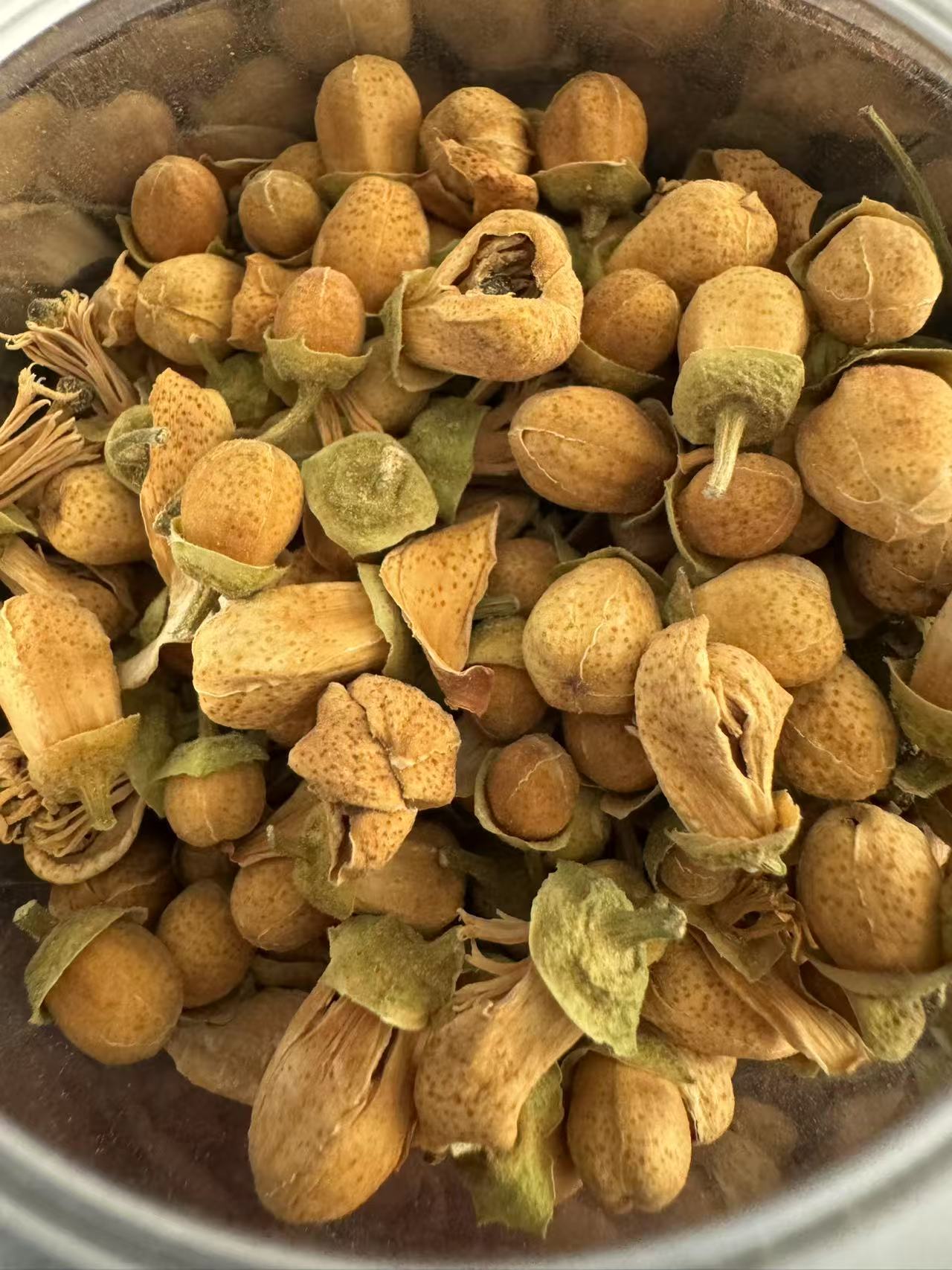 橘红干花