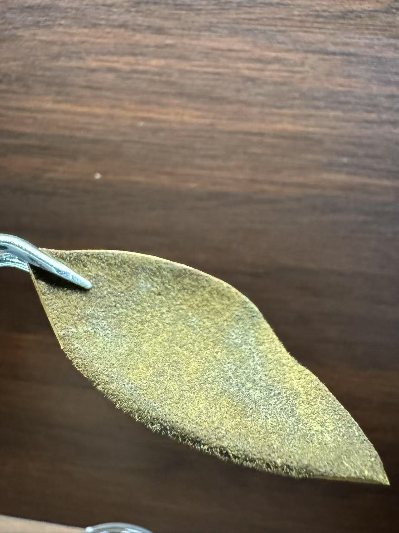 正毛橘红一爪皮 小果皮