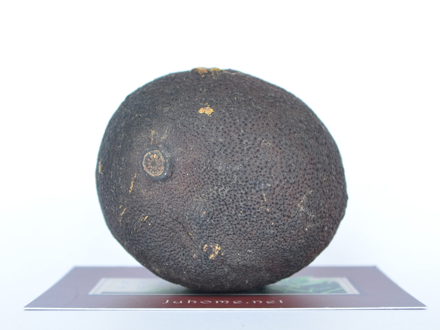 假的化州橘红 假的化州橘红