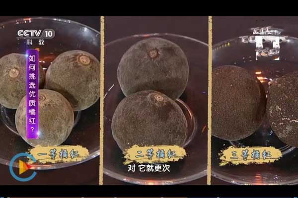 CCTV10健康之路：道地橘红用起来(文字版)