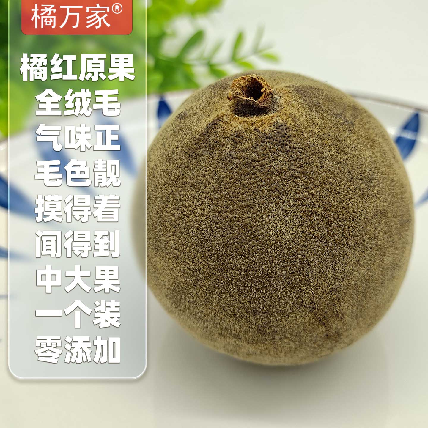 橘万家原果1个 化州橘红原果系列精选整果 40克