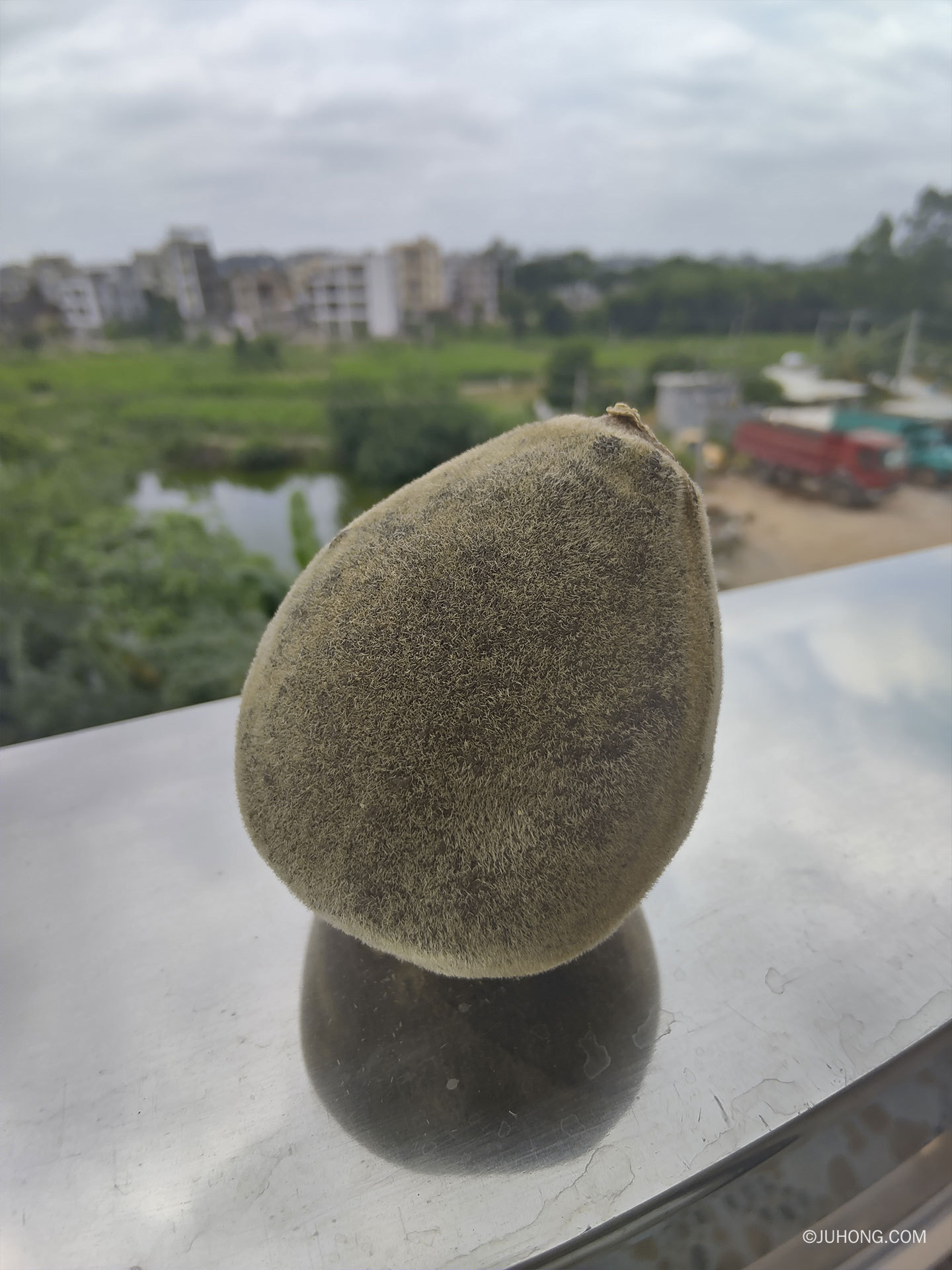 什么是化州橘红原果?