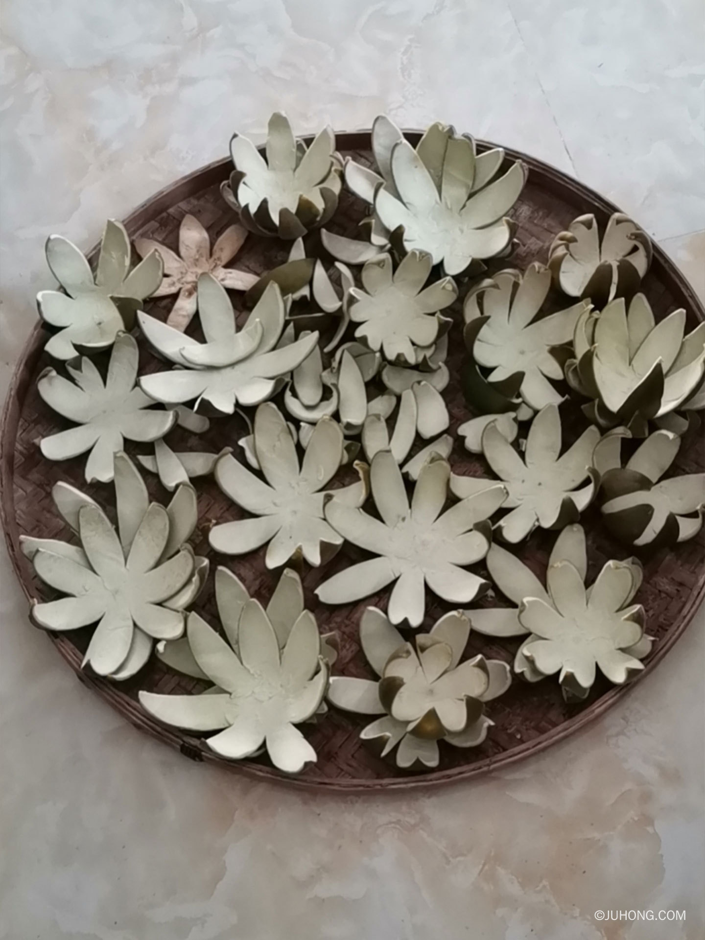 如何制作七爪化州橘红