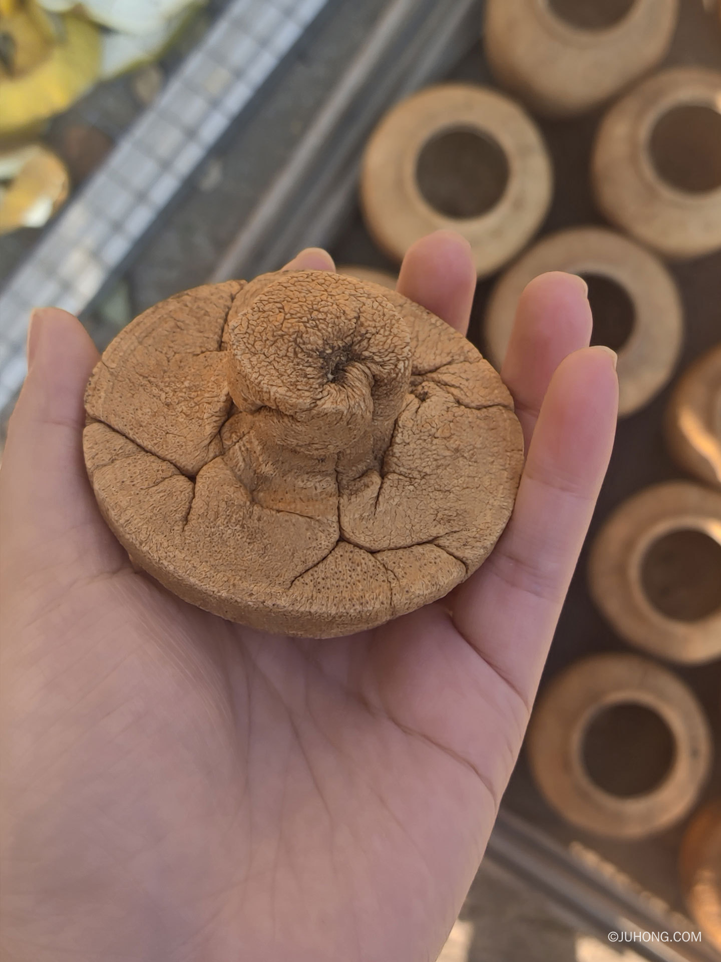 化橘红中药文化：广东省级非物质文化遗产