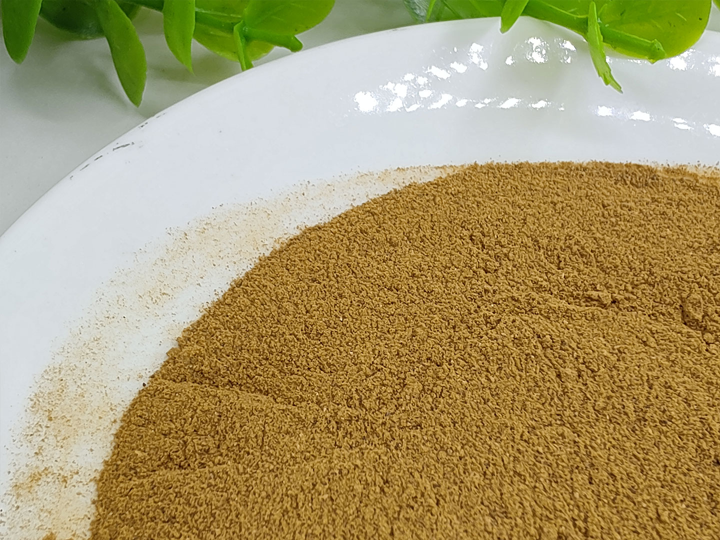橘红粉 破壁粉 打粉