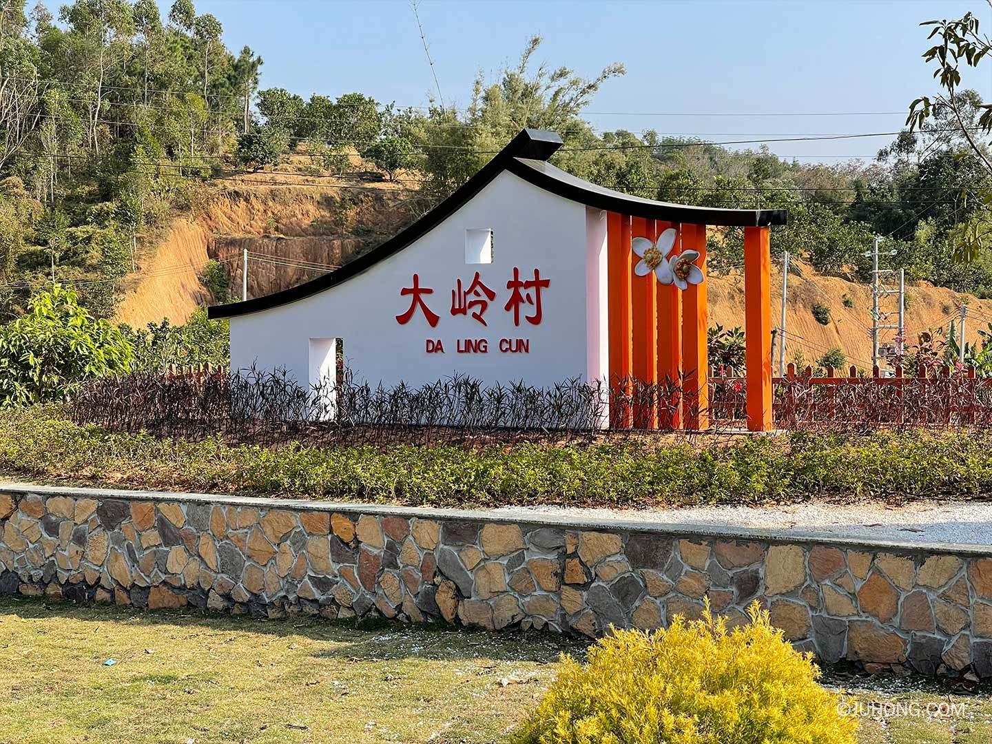 化州大岭村的化橘红为什么好