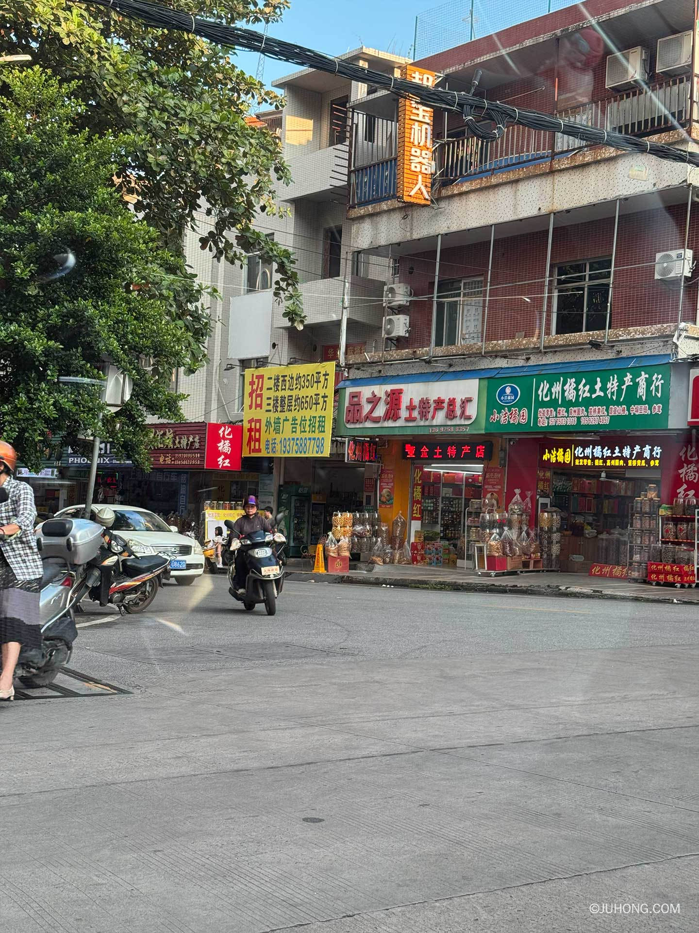 正宗化州橘红在哪里能买到？