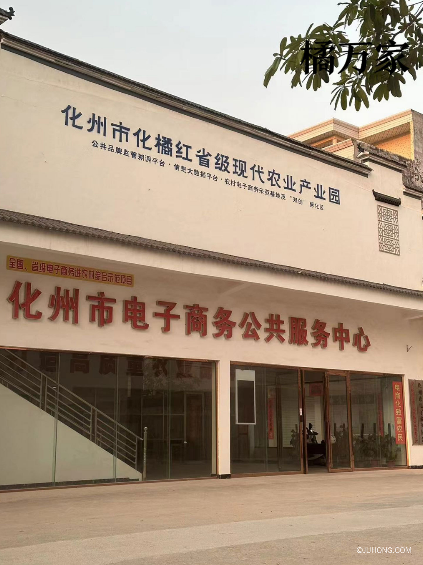 化州新闻：调研化橘红产业发展及化橘红国家现代农业产业园建设情况