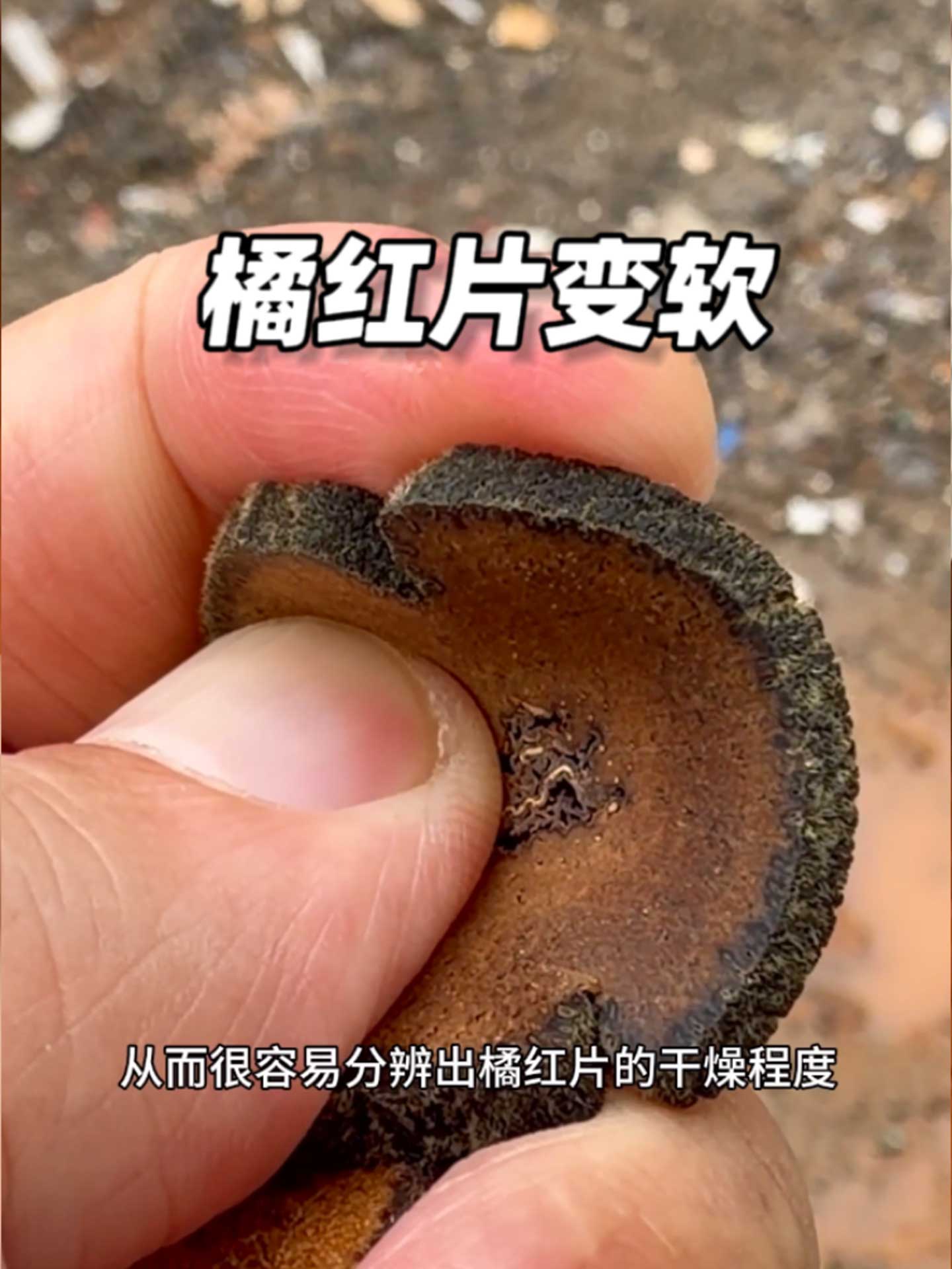 视频缩略图